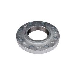 108026 Companion Flange, 2 - 1/2 in Threaded x 2 - 1/2 in Threaded, Iron, Galvanized, 4 - Bolt Hole - GetHydraulics.com