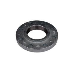 108074 Companion Flange, 12 in Threaded x 12 in Threaded, Iron, Black, 12 - Bolt Hole, 150 lb - GetHydraulics