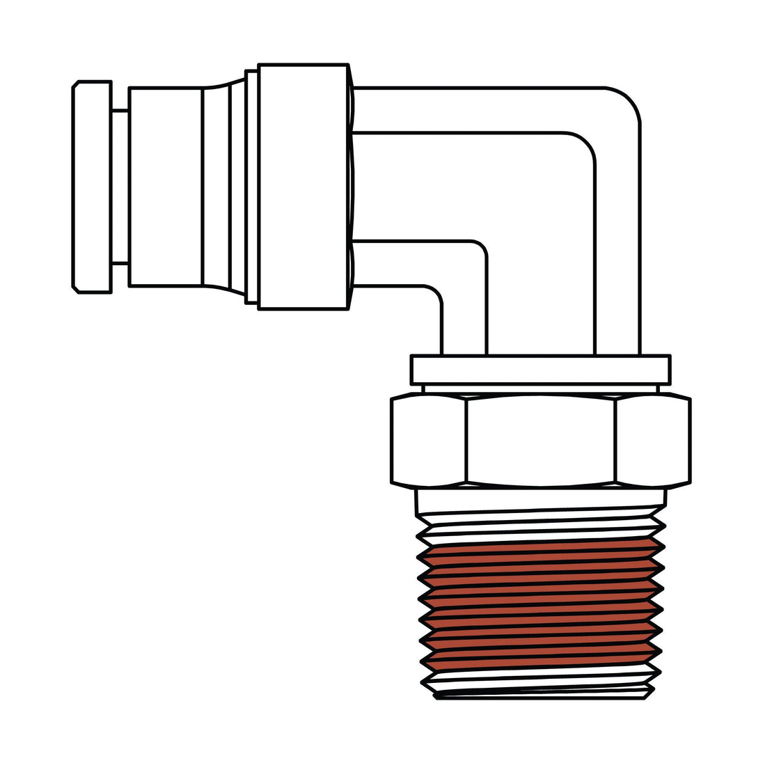 1579 - 08 - 08 Tube to Pipe Swivel Elbow 90°, Brass DOT Push - In Fitting - GetHydraulics