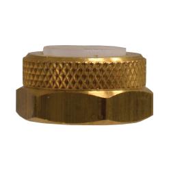 20211 Hex Nut and Sleeve Assembly, 1/4 in Flareless, Brass - GetHydraulics.com