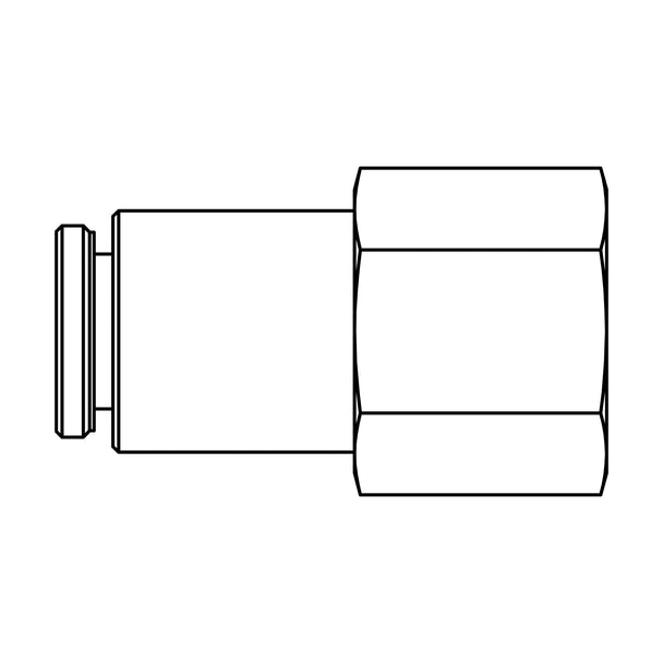 266PP - 06 - 06 Tube to Pipe, Brass - GetHydraulics