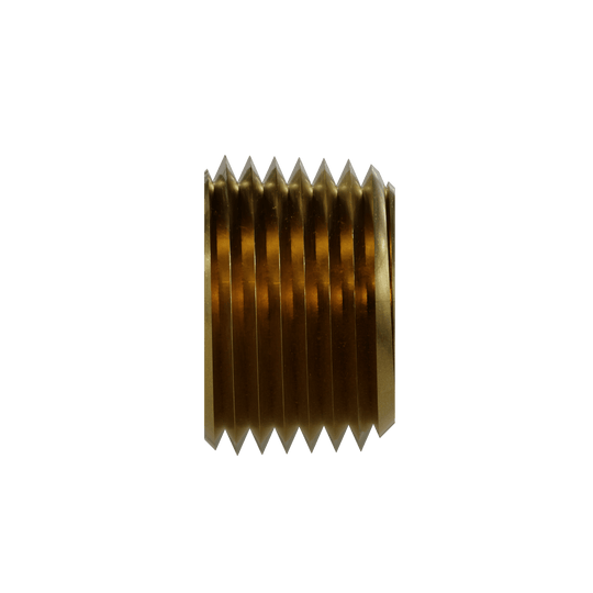 3149 - 08 Hollow Hex Pipe Plug, Brass - GetHydraulics.com