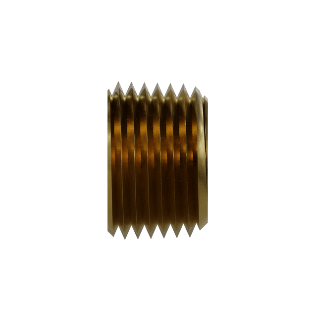 3149 - 12 Hollow Hex Pipe Plug, Brass - GetHydraulics.com