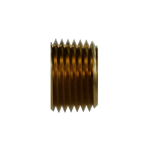 3149-06 Hollow Hex Pipe Plug, Brass