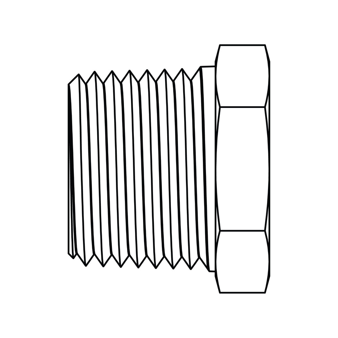 3152-01 Hex Head Pipe Plug, Brass