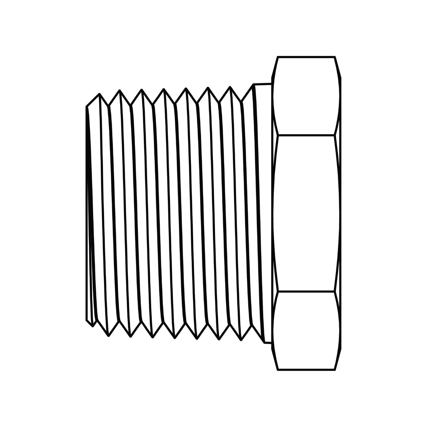 3152-02 Hex Head Pipe Plug, Brass