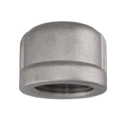 63481MS SP - 114 Cap, 4 - in Female NPT, 316 Stainless Steel - GetHydraulics.com