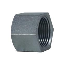 66475 Hex Cap, 1 in FNPT, Steel, Zinc - Plated, 150 lb - GetHydraulics.com