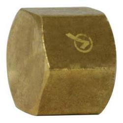 706108 - 02 Pipe Cap, 1/8 in FIP, 0.47 in, Brass - GetHydraulics.com