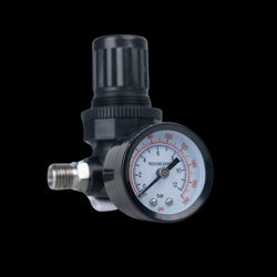 AR10 Air Line Regulator, 3.35 in Length, 1/4 in MNPT Inlet x 1/4 in FNPT Swivel Outlet, 180 psi