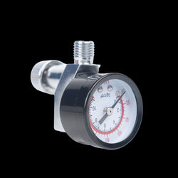 AR4 Air Line Regulator, 2.75 in Length, 1/4 in MNPT Inlet x 1/4 in FNPT Swivel Outlet, 160 psi