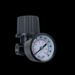 AR5 Air Line Regulator, 2.75 in Length, 1/4 in FNPT Inlet x 1/4 in FNPT Outlet, 200 psi