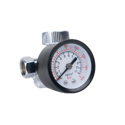 AR6 Air Line Regulator, 2.2 in Length, 1/4 in FNPT Swivel Inlet x 1/4 in MNPT Outlet, 150 psi