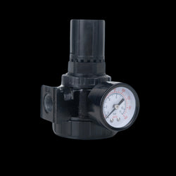 AR9 Air Line Regulator, 4.2 in Length, 3/8 in FNPT Inlet x 3/8 in FNPT Outlet, 200 psi