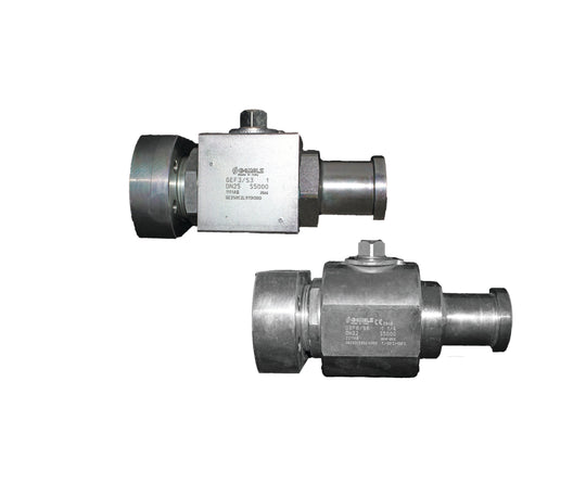 BV2-FL/4B-12-61 DNP Americas High Pressure Ball Valve