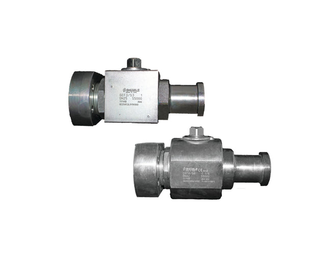 BV2-FL/4B-16-62 DNP Americas High Pressure Ball Valve