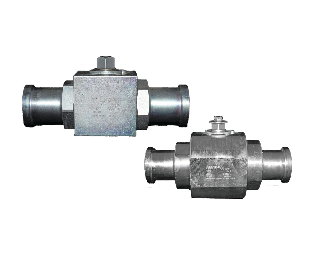 BV2-SS-16-FL62-4B DNP Americas High Pressure Ball Valve