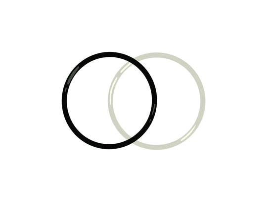 ANV-RK-12 3/4" ANV Repair Kit