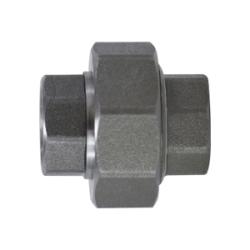 101607 Union, 1-1/2-in Female NPT x 1-1/2-in Female NPT, Steel, 3000 lb