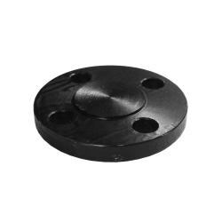 107042 Raised Face Blind Flange, 1 in, Steel, 150 lb