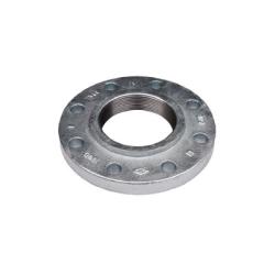 108028 Companion Flange, 4 in Threaded x 4 in Threaded, Iron, Galvanized, 8 -Bolt Hole, 150 lb