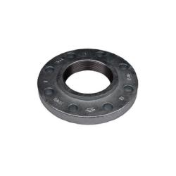 108074 Companion Flange, 12 in Threaded x 12 in Threaded, Iron, Black, 12 -Bolt Hole, 150 lb