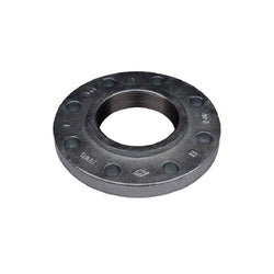 108075 Reducing Flange, 3 in 2 in, Iron