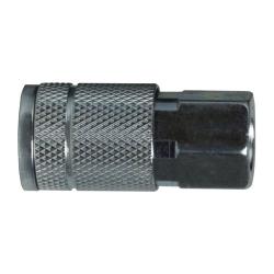 28507S Coupling, 1/4 in Coupler x 1/4 in FIP, Steel, 300 lb