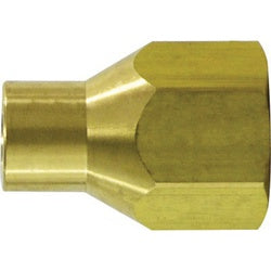 34120 Adapter, 1/4 in FPT x 1/4 in Female POL, Brass