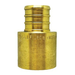 35076S Adapter, 1/2 in PEX x 1/2 in MPT, Brass