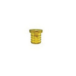35092 Plug, 1 in PEX, Brass