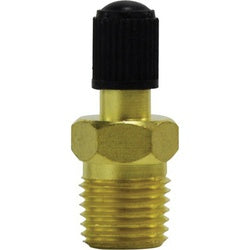 46622 Spring Core Tank Valve with Black Cap, 1/4 in Nominal, MNPT, 300 psi Pressure