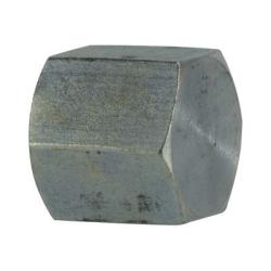 5406C12 Pipe Cap, 3/4 in FPT, Steel