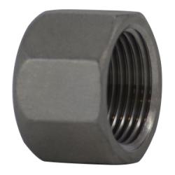 62078 Barstock Hex Cap, 1/2 in FPT, Stainless Steel, 150 lb