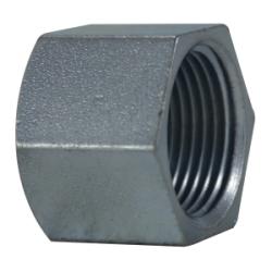 66478 Hex Cap, 2 in NPT, Steel, Zinc-Plated, 150 lb