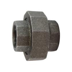 69605 Union, 1 in FPT x 1 in FPT, Iron, Black, XH Schedule, 300 lb