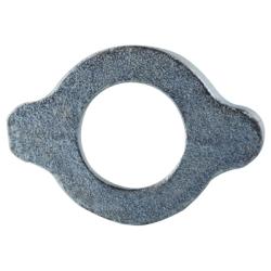 73035 Wing Nut, 1 in FPT