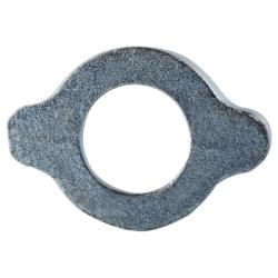 73038 Wing Nut, 2 in FPT