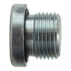 9522H2 Hollow Hex Plug, 1/8 in Male BSPP, Steel