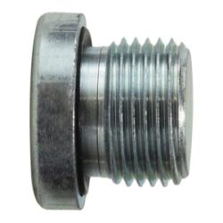 9522H4 Hollow Hex Plug, 1/4 in Male BSPP, Steel