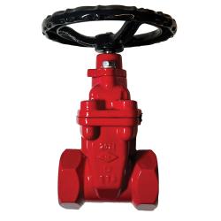 9640TH2 Gate Valve, 2 in Nominal, IPS, Ductile Iron Body