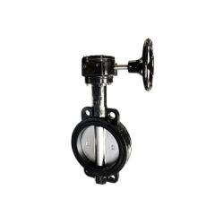 9650G10 Butterfly Valve, 10 in Nominal, Flangeless, Ductile Iron Body