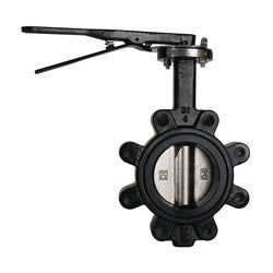 9660L10 Butterfly Valve, 10 in Nominal, Ductile Iron Body
