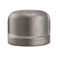 62478MS SP-114 Cap, 2-in Female NPT, 304 Stainless Steel