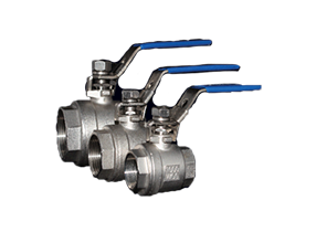 SSBV-06-1000-NPT DNP Americas Stainless Low Pressure Ball Valve