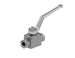 BV2 - 12 - SAE DNP Americas High Pressure Ball Valve - GetHydraulics.com
