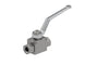 BV2 - 12 - SAE DNP Americas High Pressure Ball Valve - GetHydraulics.com