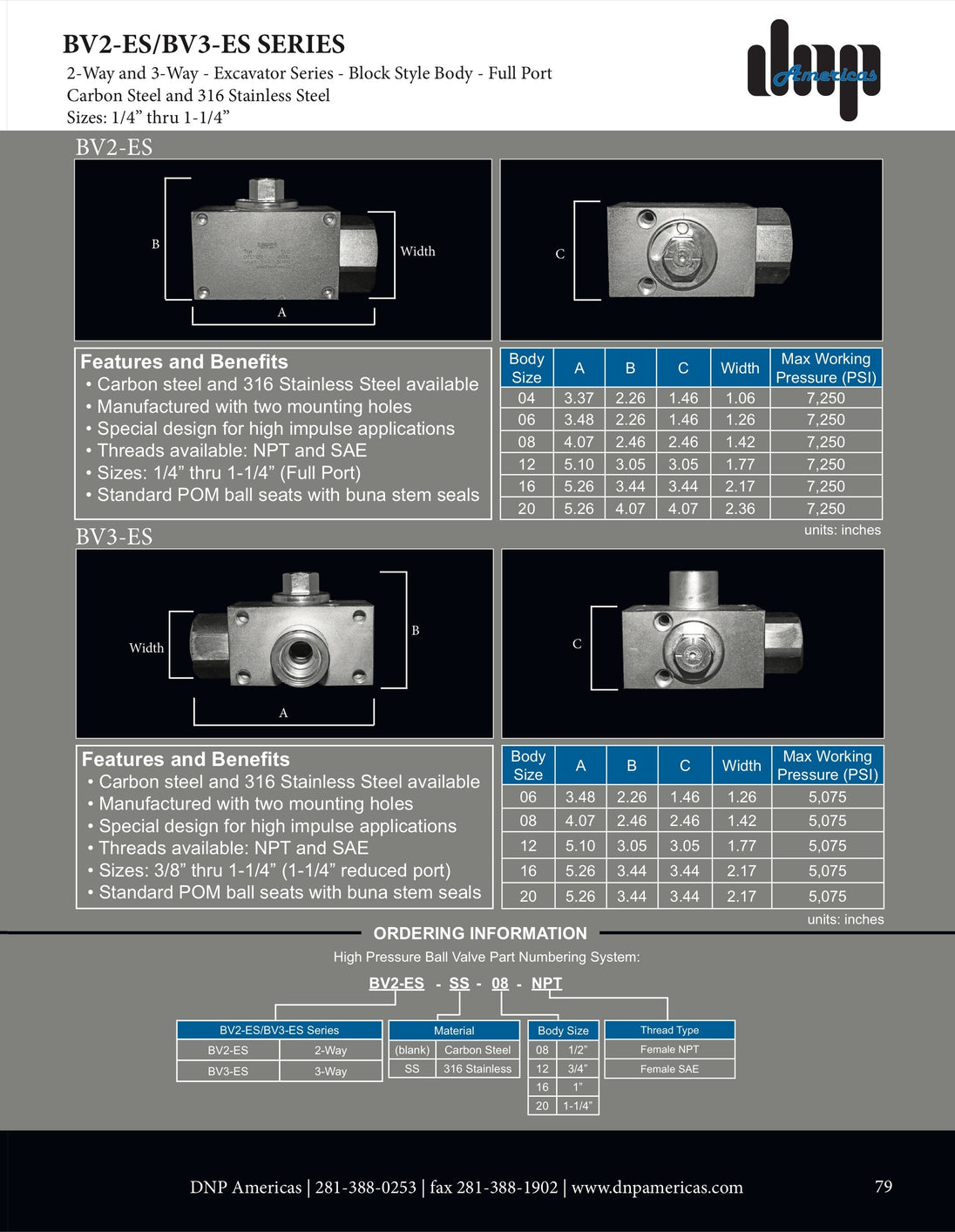 BV2 - ES - 16 - NPT DNP Americas High Pressure Ball Valve - GetHydraulics.com