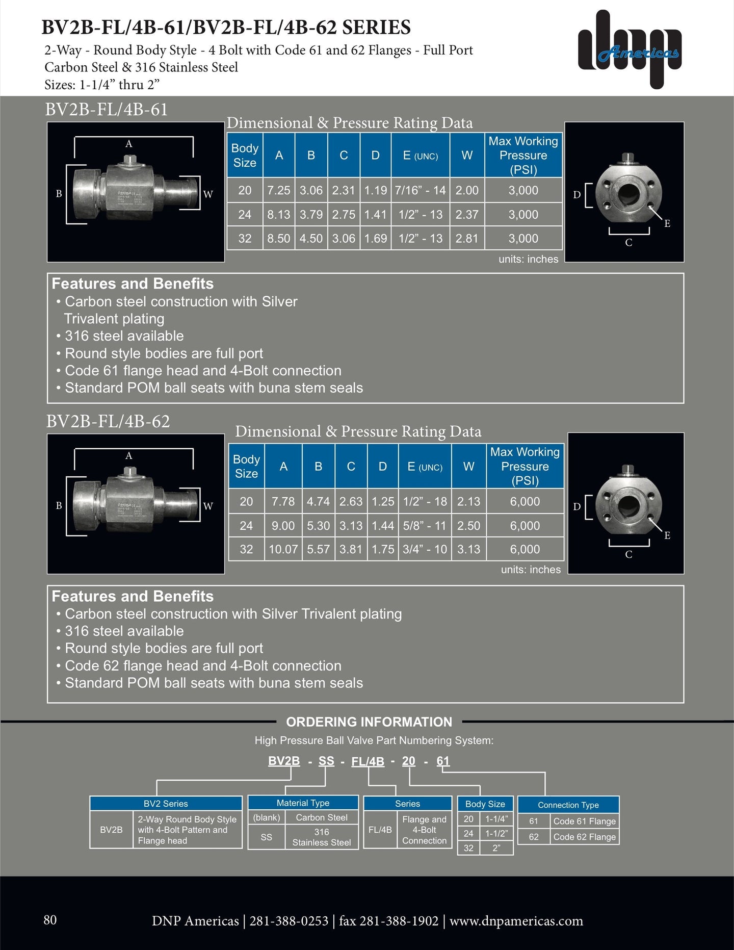 BV2 - SS - FL/4B - 12 - 61 DNP Americas Ball Valve - GetHydraulics.com