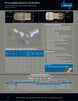 PVT4 - SL - CC - 12 - 12C - NPT DNP Americas Quick Coupling - GetHydraulics.com